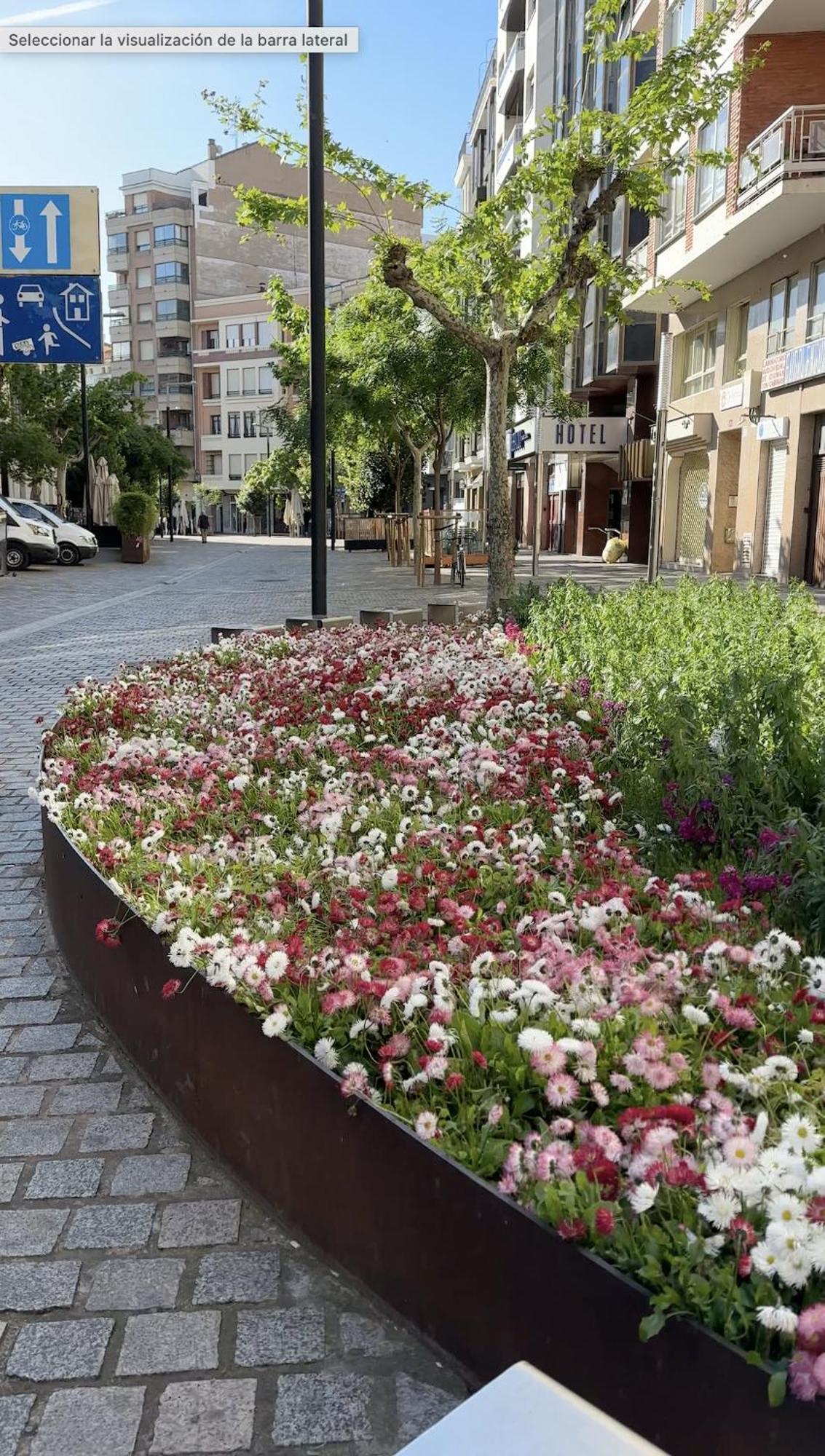 Nectario estudio de lujo en el centro Logroño Exterior foto